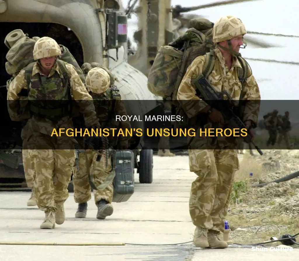 do royal marines go to afghanistan