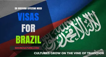 Do Russian Citizens Need Visas for Brazil? Travel Requirements Explained