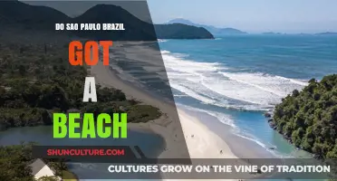 Does São Paulo, Brazil Have a Beach? Exploring Coastal Access