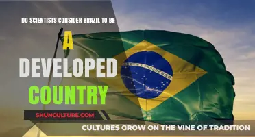 Is Brazil Developed? Scientists Weigh In on Its Economic Status