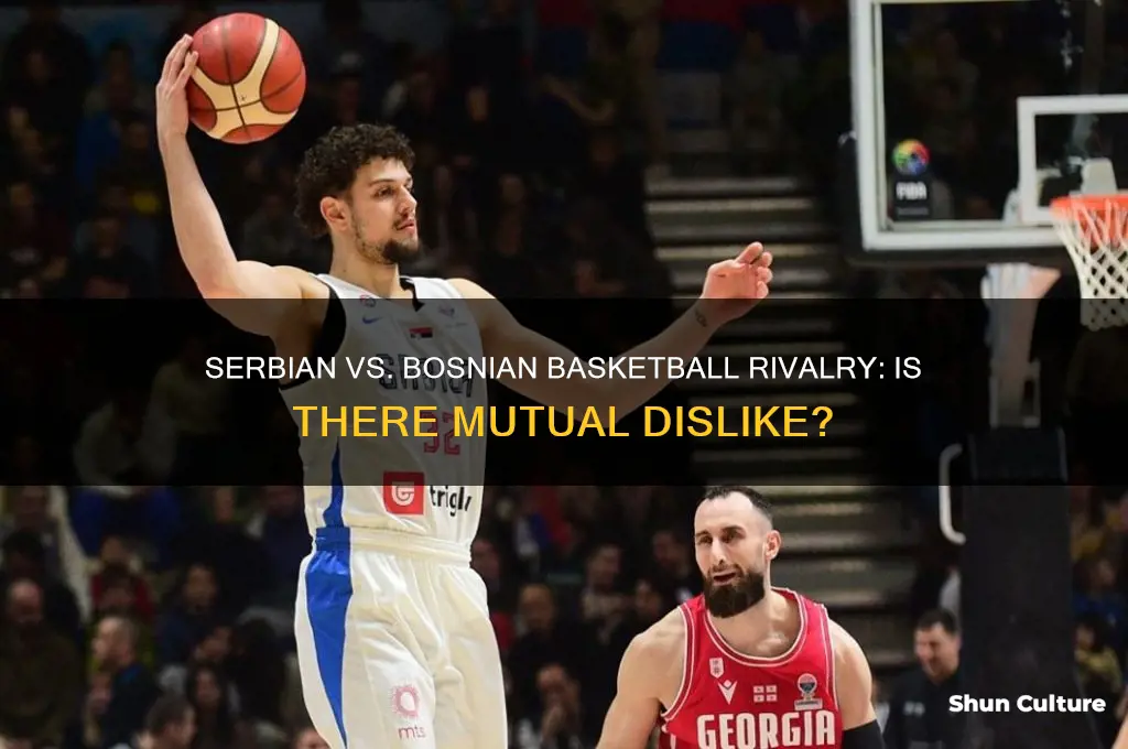 do serbian and bosnian basketball players hate each other