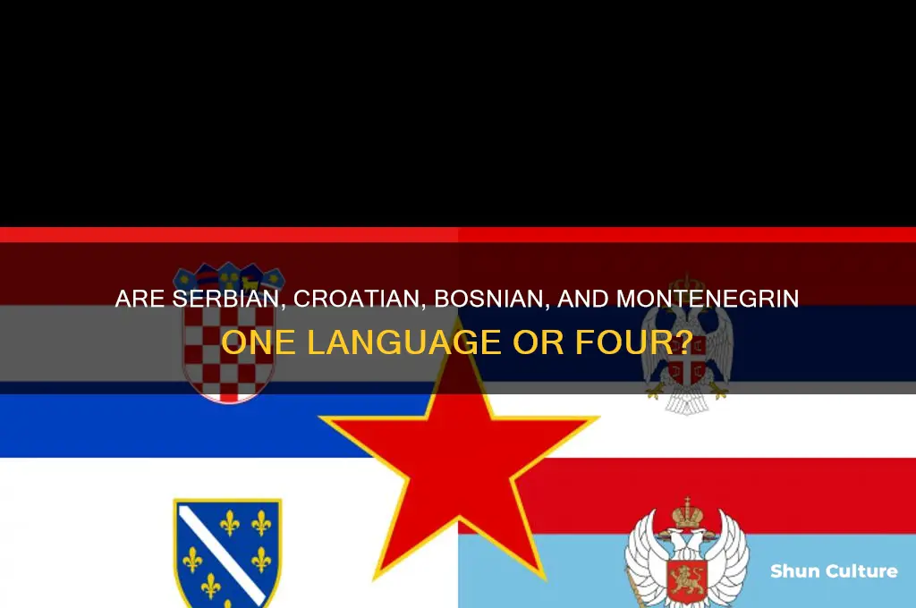 do serbian croatian bosnian etc count as one language