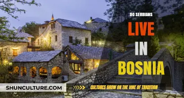 Serbians in Bosnia: Exploring the Presence and Cultural Connections