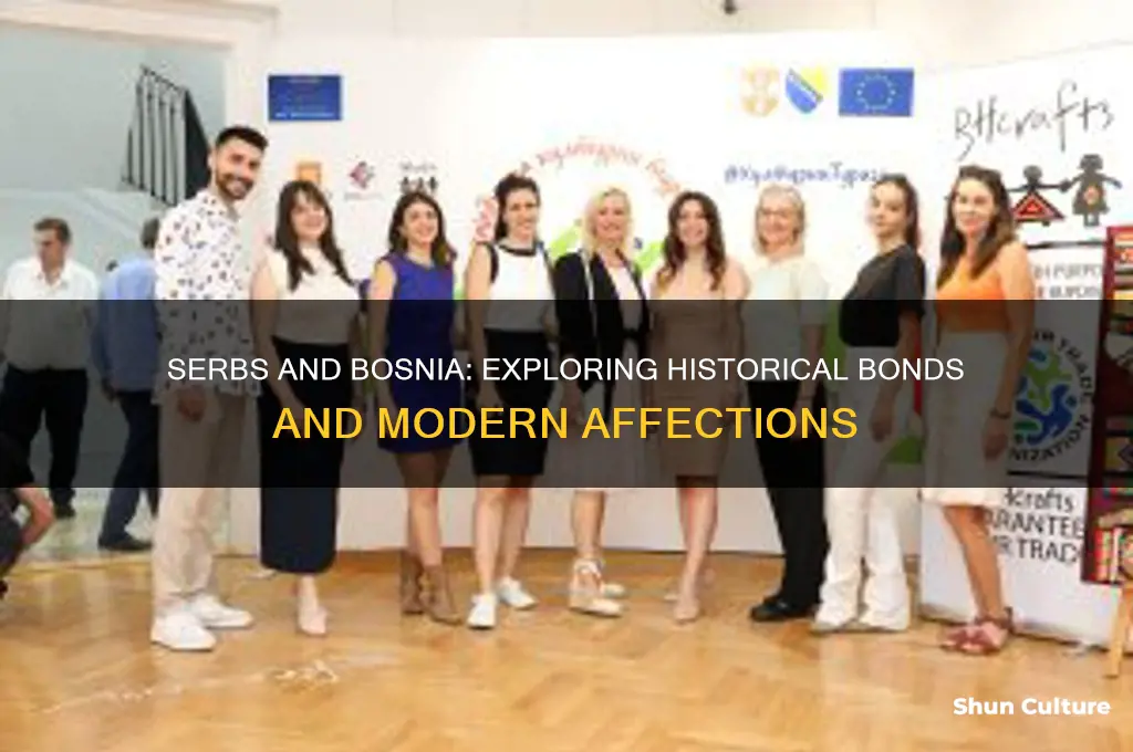 do serbs love bosnia