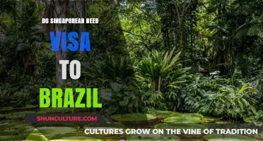 Do Singaporeans Need a Visa to Visit Brazil? A Quick Guide