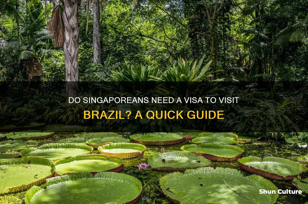 do singaporean need visa to brazil
