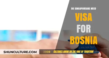 Singaporeans Traveling to Bosnia: Visa Requirements Explained