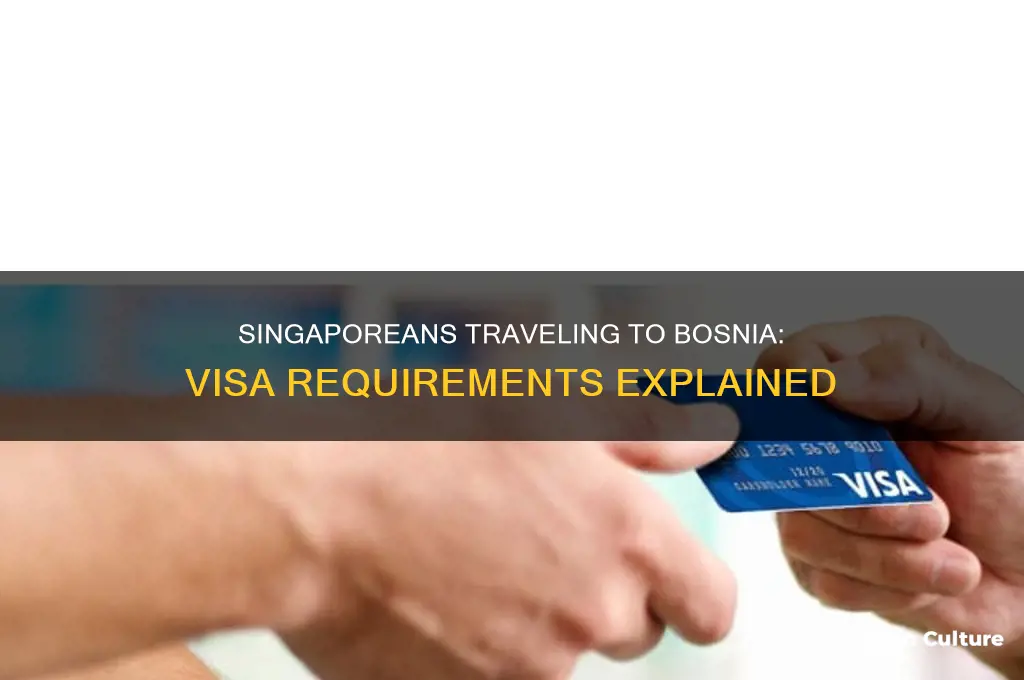 do singaporeans need visa for bosnia