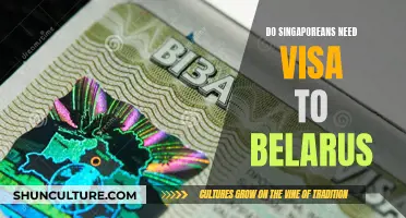 Visa Requirements for Singaporeans Visiting Belarus