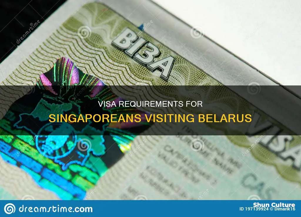 do singaporeans need visa to belarus