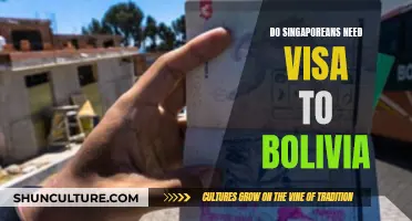 Visa Requirements for Singaporeans Visiting Bolivia