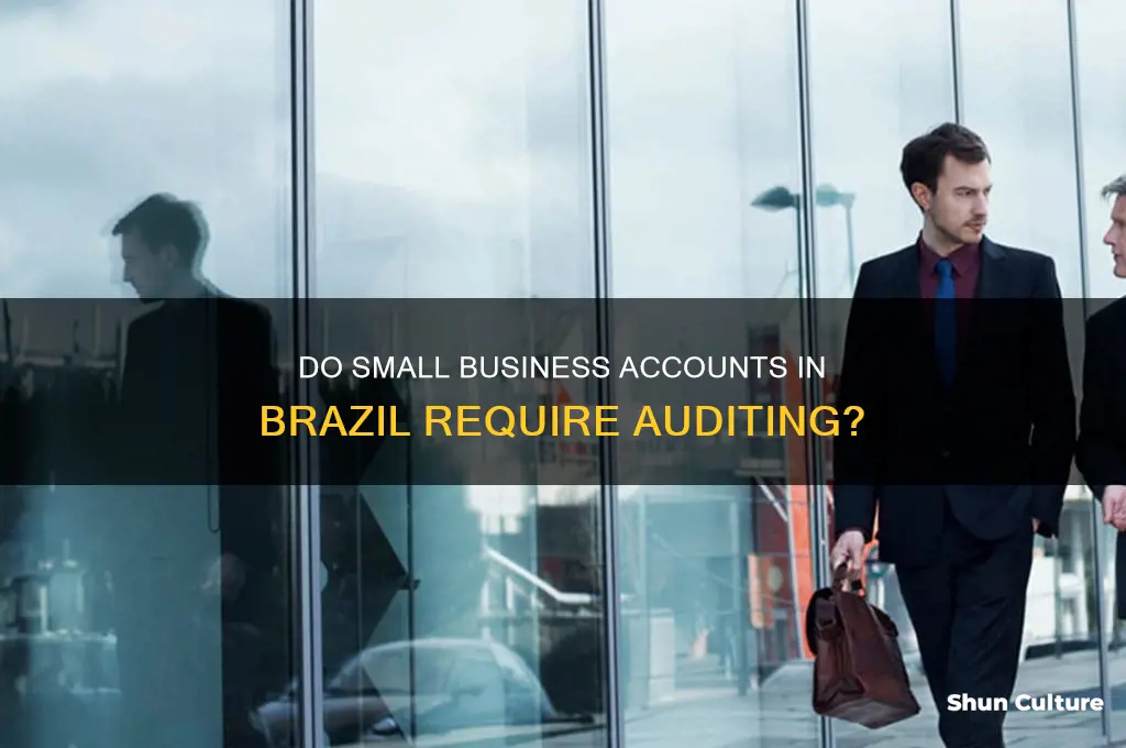 do small business accounts in brazil need to be audited