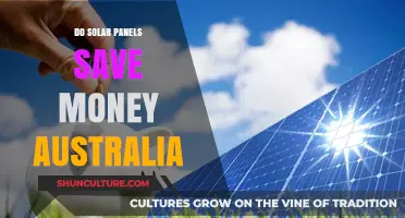 Solar Panels: Australia's Energy and Money Saver