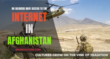 Connected in Combat: Internet Access for Soldiers in Afghanistan