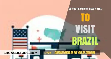 Do South Africans Need a Visa to Visit Brazil?
