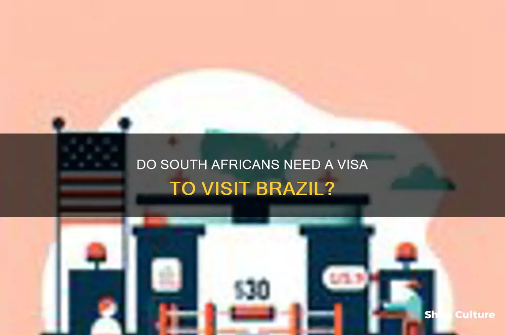 do south african need a visa to visit brazil