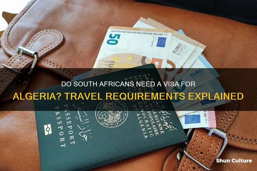 do south african need visa for algeria