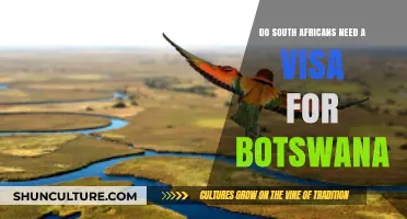 Do South Africans Need a Visa for Botswana? Travel Requirements Explained