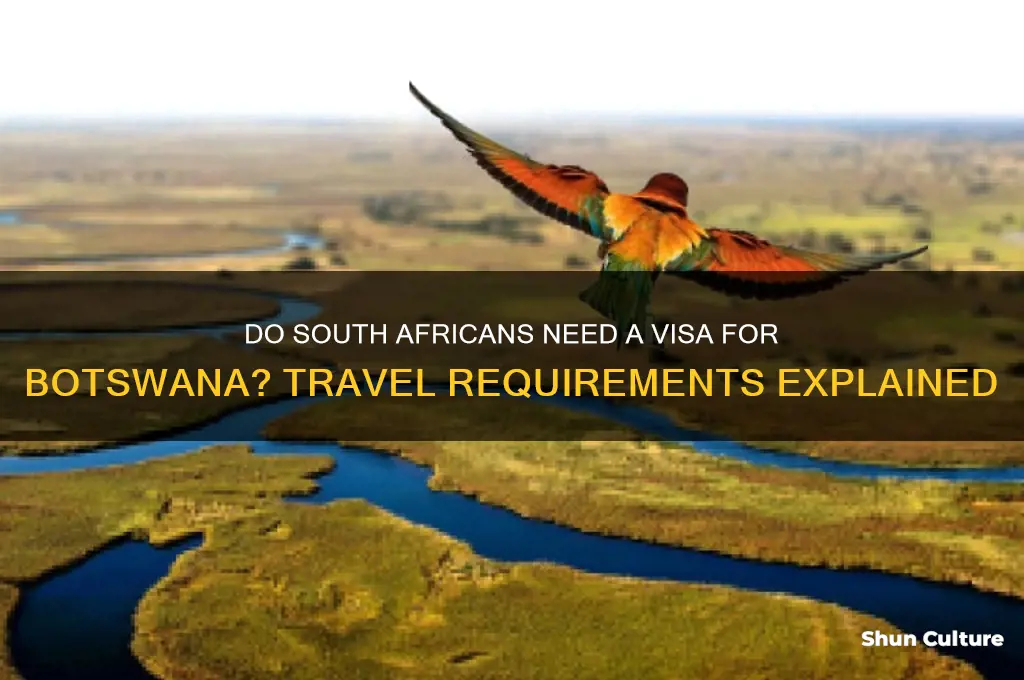 do south africans need a visa for botswana