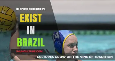 Exploring Brazil's Sports Scholarships: Opportunities for Athletes in Education