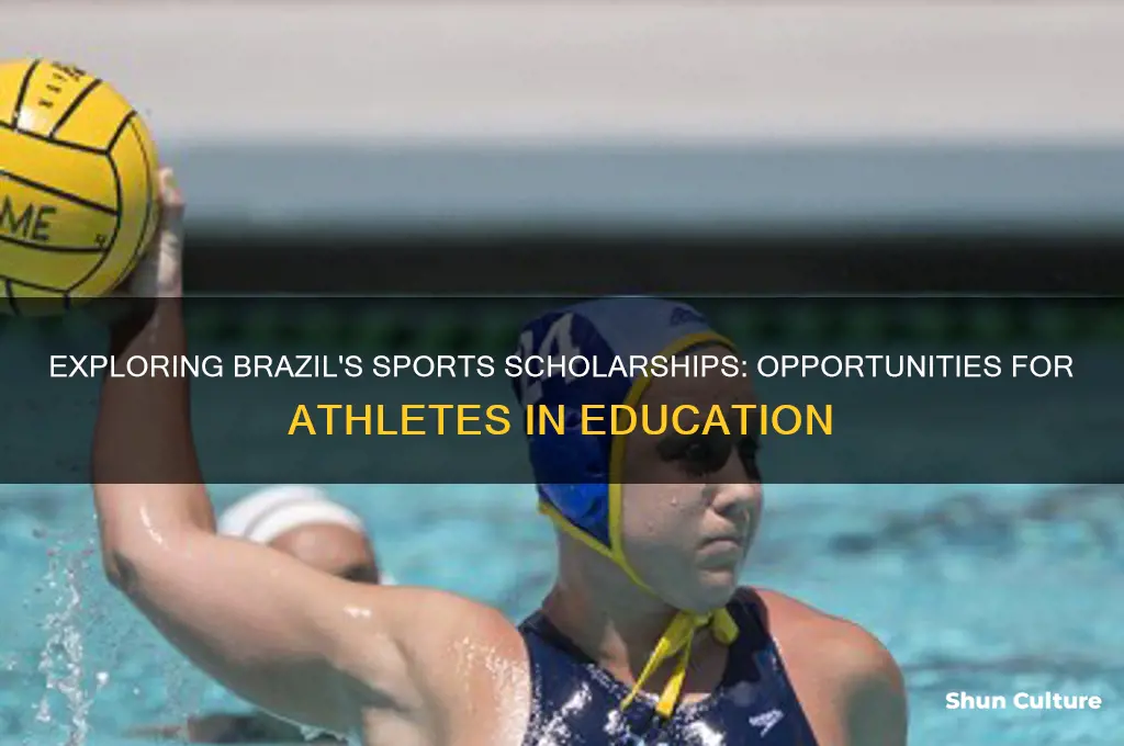 do sports scholarships exist in brazil