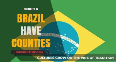 Do States in Brazil Have Counties? Understanding Administrative Divisions