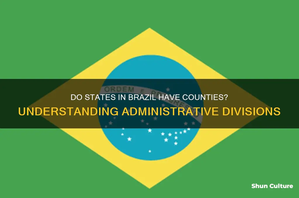 do states in brazil have counties