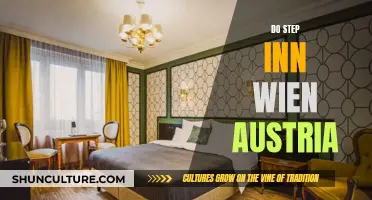 Exploring Vienna: Step Inn, Austria's Gem