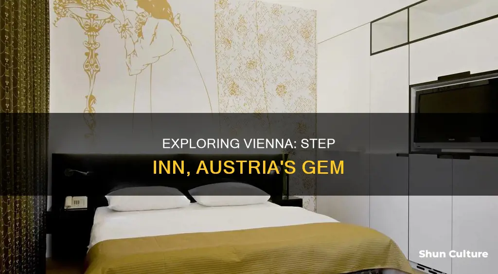 do step inn wien austria