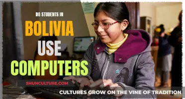 Computer Usage Among Bolivian Students: A Digital Divide?