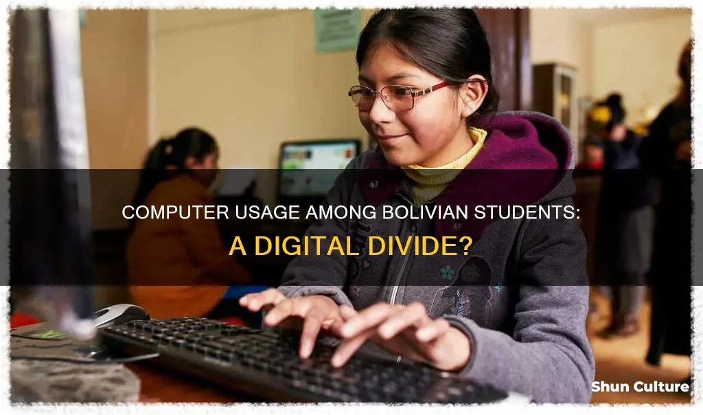 do students in bolivia use computers