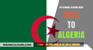 Syrian Citizens Traveling to Algeria: Visa Requirements Explained