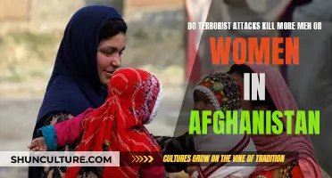 Terror's Toll: Unraveling the Gendered Impact of Terrorist Attacks in Afghanistan