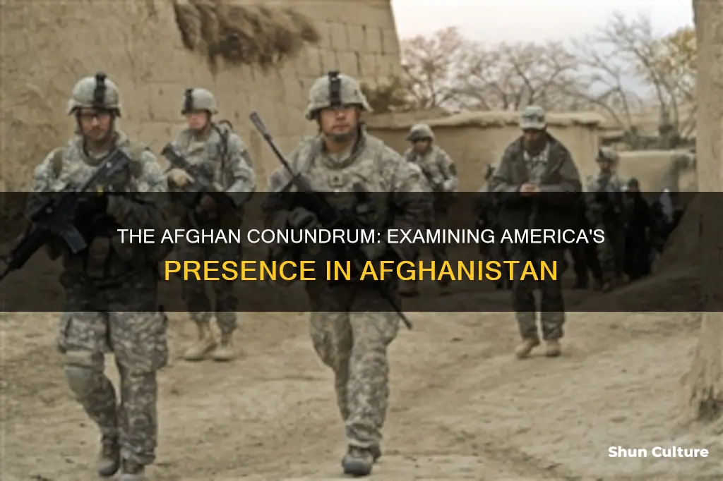 do the american people want to be in afghanistan