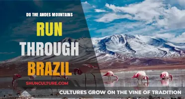 Do the Andes Mountains Extend Through Brazil? Exploring Geographic Boundaries