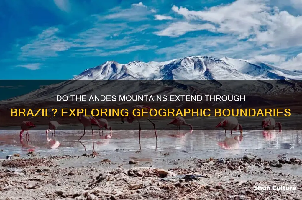 do the andes mountains run through brazil