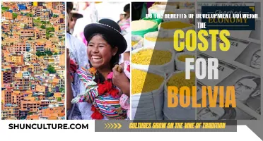 Development in Bolivia: Benefits vs. Costs