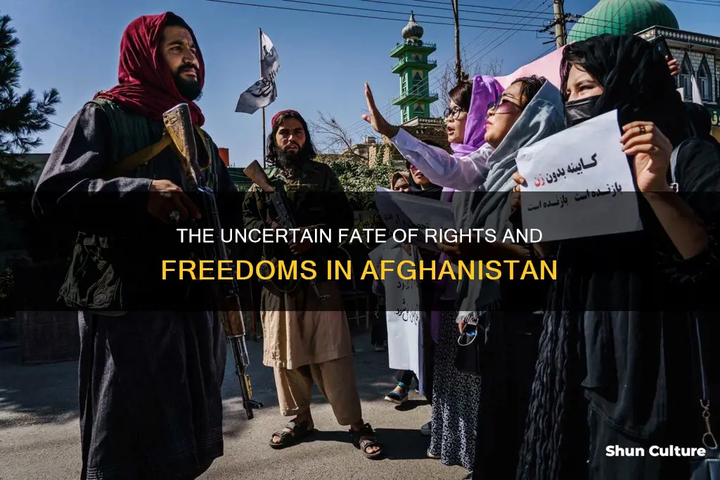 do the citizens of afghanistan have any rights