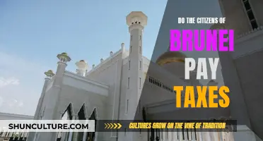 Brunei's Tax System: Understanding Citizen's Tax Obligations