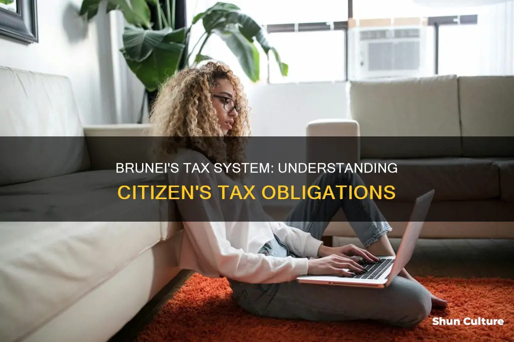 do the citizens of brunei pay taxes