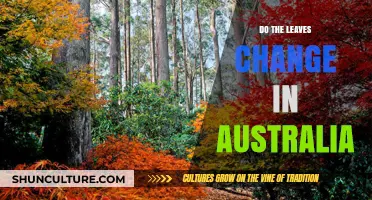 Australian Autumn: Leaves Change Colors Too!