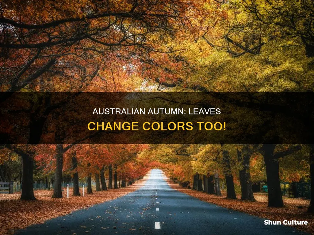 do the leaves change in australia