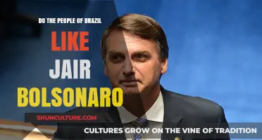 Brazil's Divide: Public Opinion on Jair Bolsonaro's Leadership