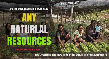 Brazil's Natural Wealth: Do the Poor Benefit from Resources?