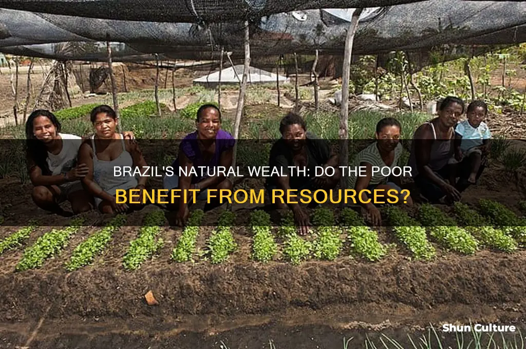 do the poor people in brazil have any naturlal resources