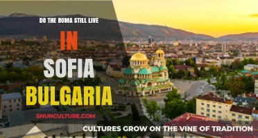 Exploring the Present: Roma Community in Sofia, Bulgaria Today