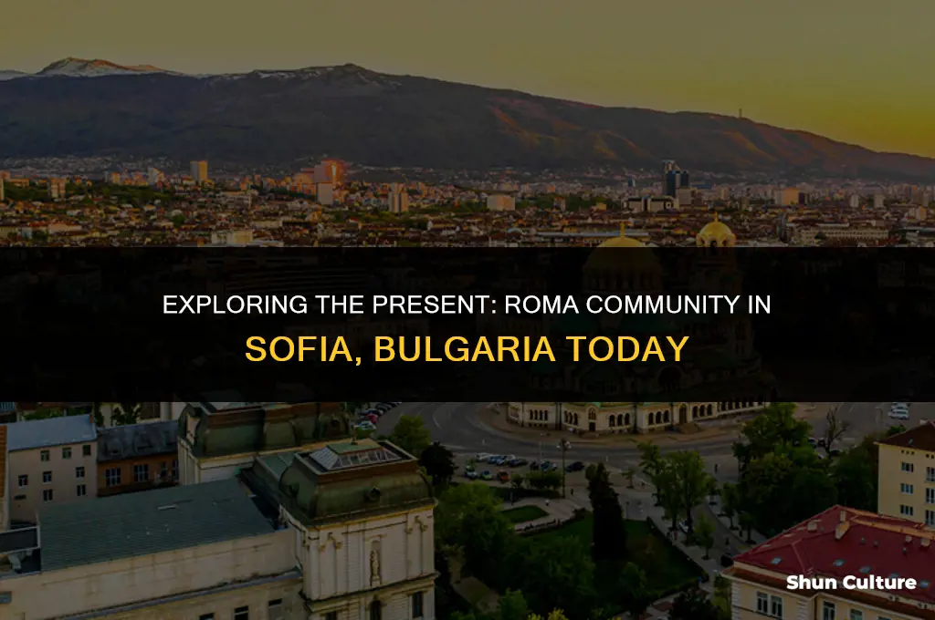 do the roma still live in sofia bulgaria