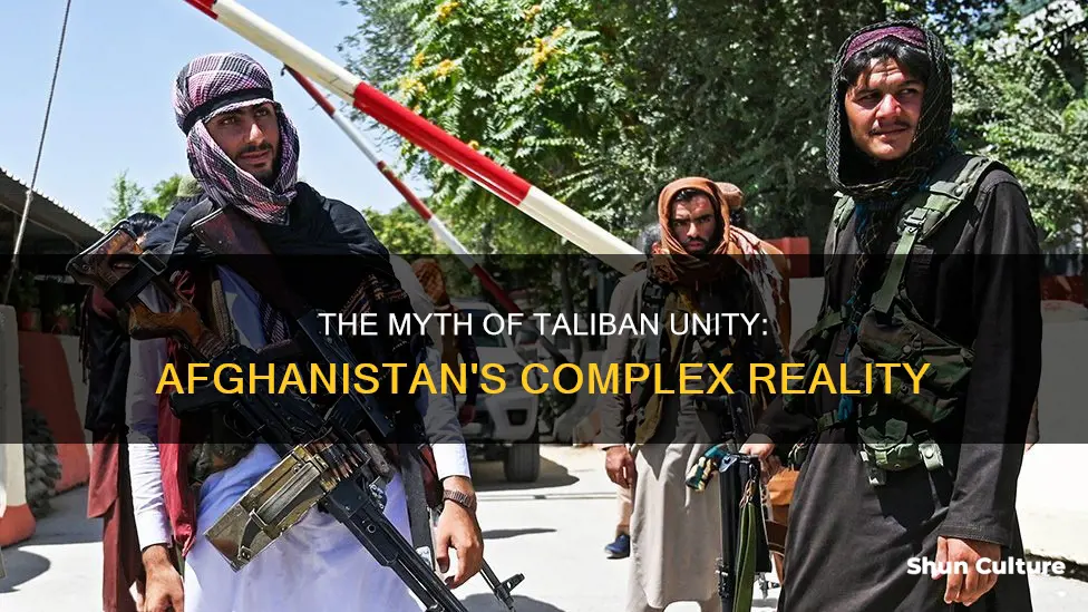 do the taliban control all of afghanistan