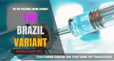 Brazil Variant: Do Current Vaccines Still Provide Effective Protection?