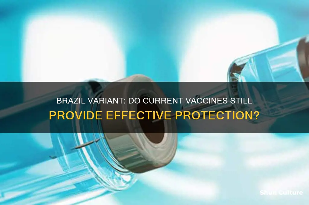 do the vaccines work against the brazil variant